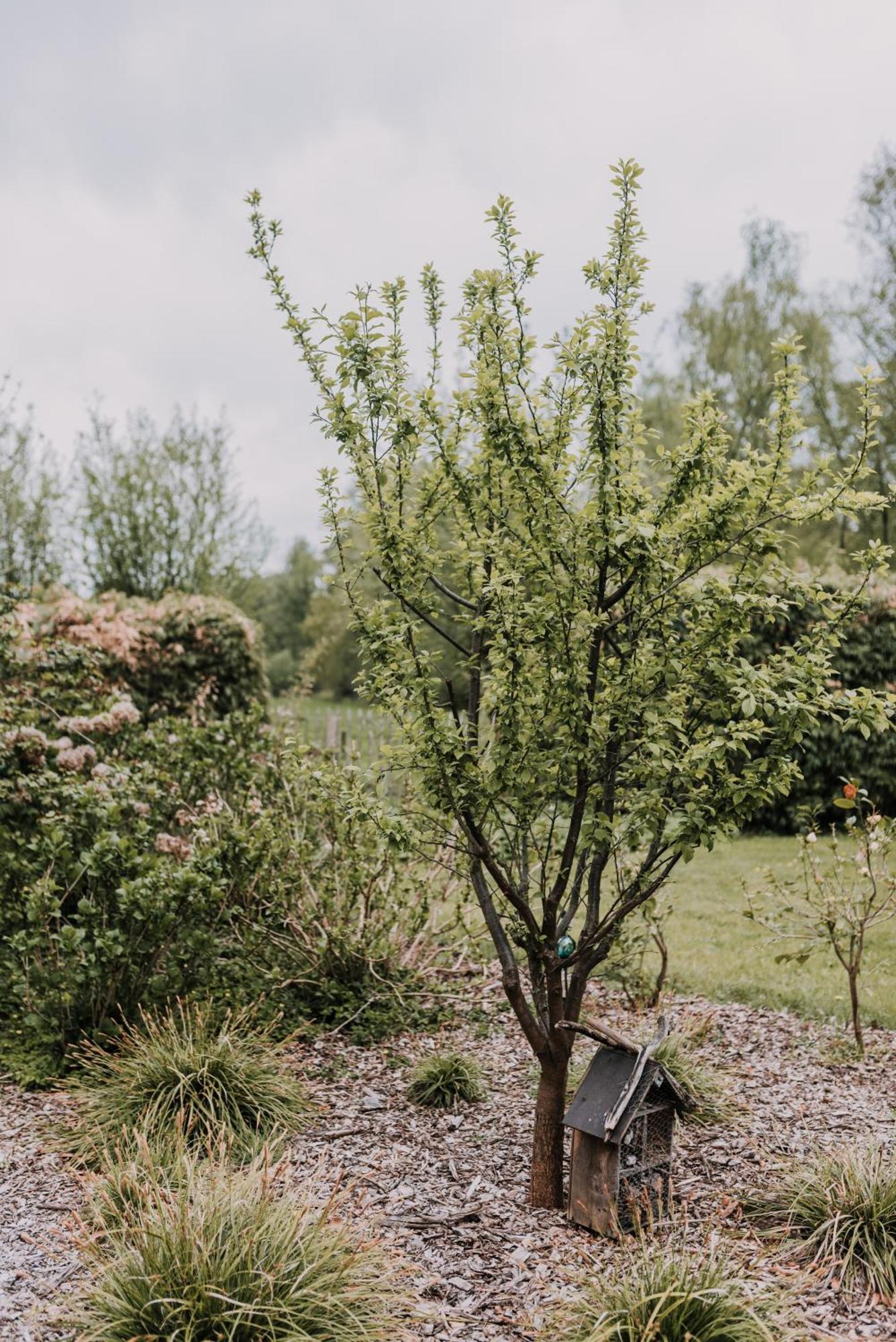 Vakantiehuis De Bekaf Stekene Buitenkant foto